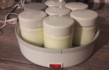 Plastik sparen: Joghurt selbst machen mit dem Joghurtbereiter