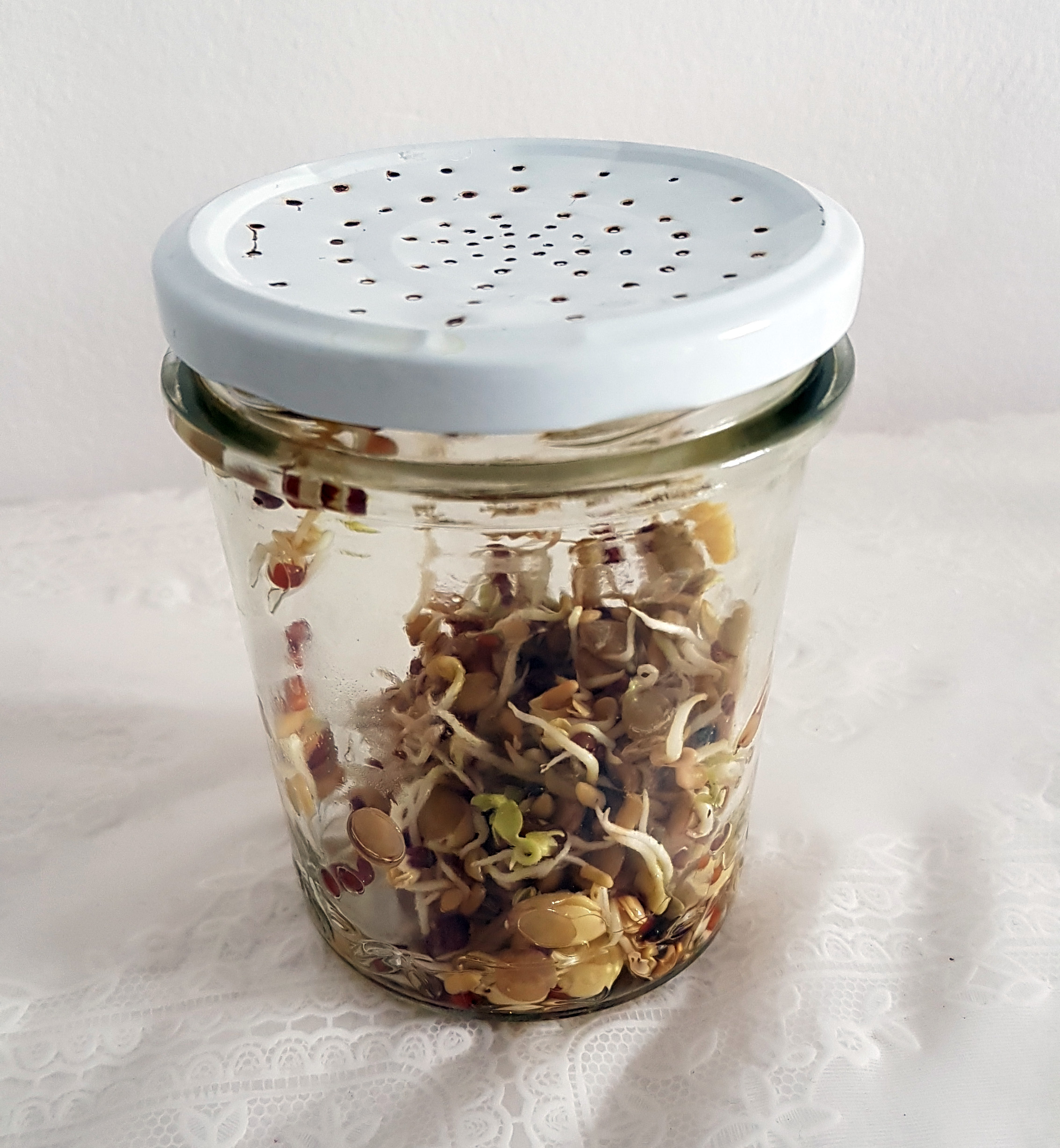 Selbst gefertigtes Keimglas mit Sprossen