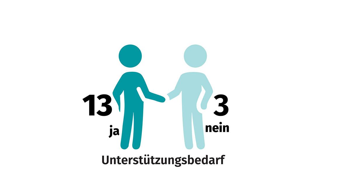 Grafik zur Frage Unterstützungsbedarf: 13 ja; 3 nein.