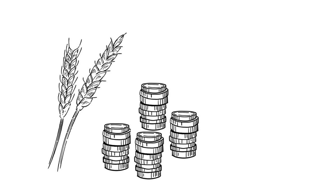 Gezeichnete Getreideähren und Stapel aus Münzen