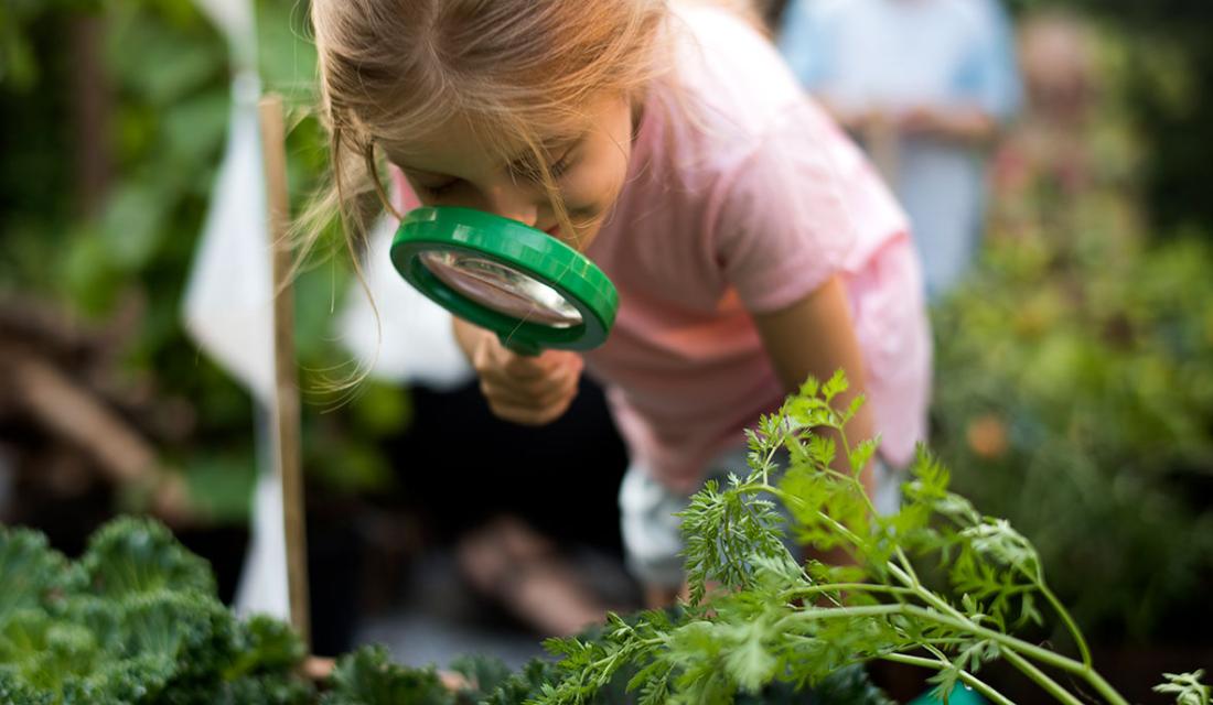 Ein Kind betrachtet durch eine große Lupe Gemüsepflanzen im Garten