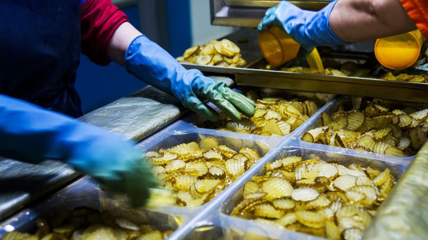 Eingelegte Gurkenscheiben werden in einer Fabrik von Hand weiterverarbeitet