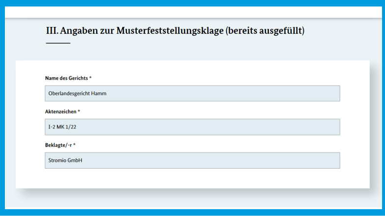 Screenshot der Webseite des Bundesjustizamts: Angaben zur Klage im Formular