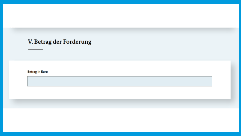 Screenshot der Webseite des Bundesjustizamts: Angaben zur Forderung im Formular