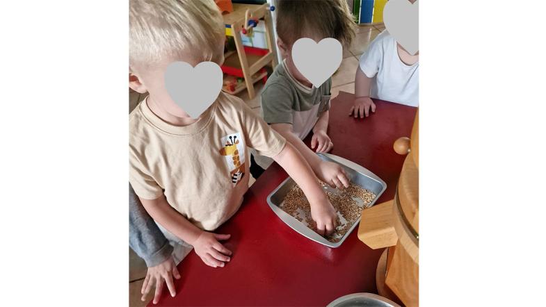 Bärenlkörble-Kinder betasten die Getreidekörner