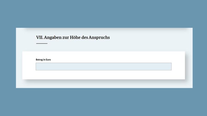 Screenshot der Webseite des Bundesjustizamts: Angaben zur Forderung im Formular