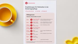 Handlungsempfehlungen zu Mahlzeiten in der Kindertagespflege liegen auf einem Tisch neben einer Tasse mit Tee und einem Kugelschreiber